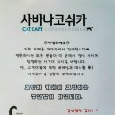사바나 코쉬카 | [부천중동] 개냥이들이 가득했던 고양이카페_사바나코쉬카