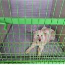 영도구-6 이미지