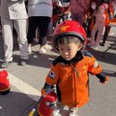 먹거리포차 - 속초시 먹거리5길 21 | [진해] 2026 진해군항제 벚꽃축제 마지막날 후기 / 포차 먹거리 솔직후기 (26.04.05)