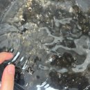 성진푸드 이미지