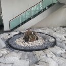 (주)계림조경자재 이미지