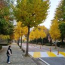 최경섭한의원 이미지