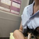 닥터리동물병원 이미지