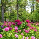 한림골드빌라스풀빌라 이미지