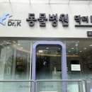 동물병원 닥터K 이미지