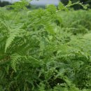 상예동-8 이미지