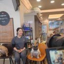 라라동물의료원 이미지