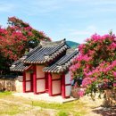 논산시사람꽃복지관 | 논산 충곡서원 배롱나무 만개｜입장료·주차비 없는 충남 여름꽃 명소
