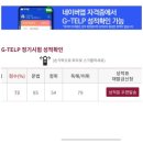 지텔프(G-telp) 레벨 2, 2주 만에 65점 단기합격 자세한 공부법 수기 (73점후기) - 문법