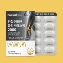 엠에스엔 이미지