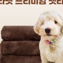 라라펫 이미지