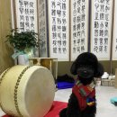 도그웨이 청주점 이미지