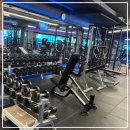 (주)바디채널 신촌이대역점 | 내 몸의 변화를 만드는 곳, 이대역헬스장 바디채널 신촌이대역점 리얼 후기!
