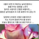 리듬이님~ 방가방가~빵긋 빵긋요~^~^ 이미지