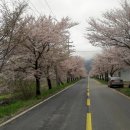 주산공원 이미지