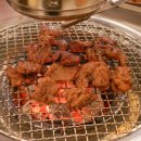 털보숯불갈비