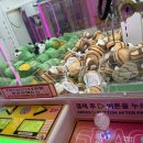 와플대학이천캠퍼스