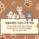 동물보육원 고양이 후원 카페 이미지