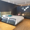 분당-137 이미지