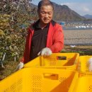 용대농장 이미지