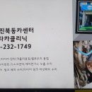 덕진카클리닉 이미지