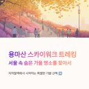 애국지사김태희묘소 | 서울 중랑구 망우 용마산 스카이워크 숲길 힐링 등산 둘레 트레킹 4코스