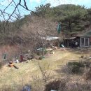 한상태농장 이미지