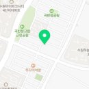 아리엘언니 이미지