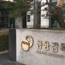 590 이미지