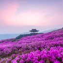 산청이네