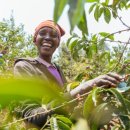 시아농장 이미지