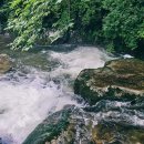 소나무집 민박 이미지