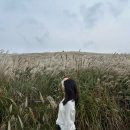 떡자네 | 제주도 가고싶어서 쓰는 제주도 후기.2