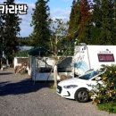 팜핑제주 이미지