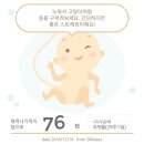 냅킨아트 연필꽂이 이미지