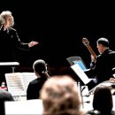 관현악 축제 이미지