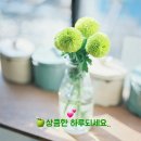 찬미 이미지