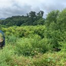 진안읍 1377 이미지