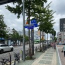 담손정통지압안마원 이미지