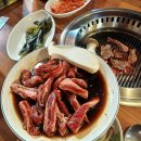 호동이 갈비 | 예술회관역 고기집 호동이갈비살 방문 후기