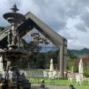 피콕빌리지 이미지