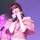 새동아투어 이미지