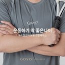 고요네 이미지