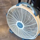 돈가맛돼지 | 서귀포 중문 흑돼지 맛집 숙성돈가 숙성흑돼지 단품 후기