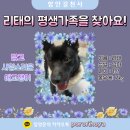 리태 네이버블로그