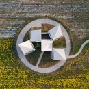 국화농장 이미지