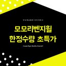 모모리벤지휠 17인치 18인치 19인치 정품 굿바이 초특가 가격 인하 부산 총판 타이어파크 이미지