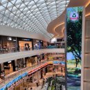 김스타치킨감삼점 | 하남 스타필드 맛집｜아이랑 먹기 좋았던 에베레스트 커리