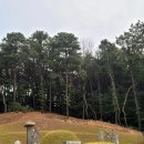 반남박씨 박원도묘 이미지