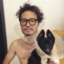 정인 이미지